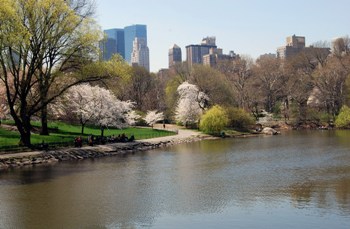 This photo of New York City's Central Park in Spring Bloom was taken by photographer Andrew Beierle of Silver Spring, Maryland. 